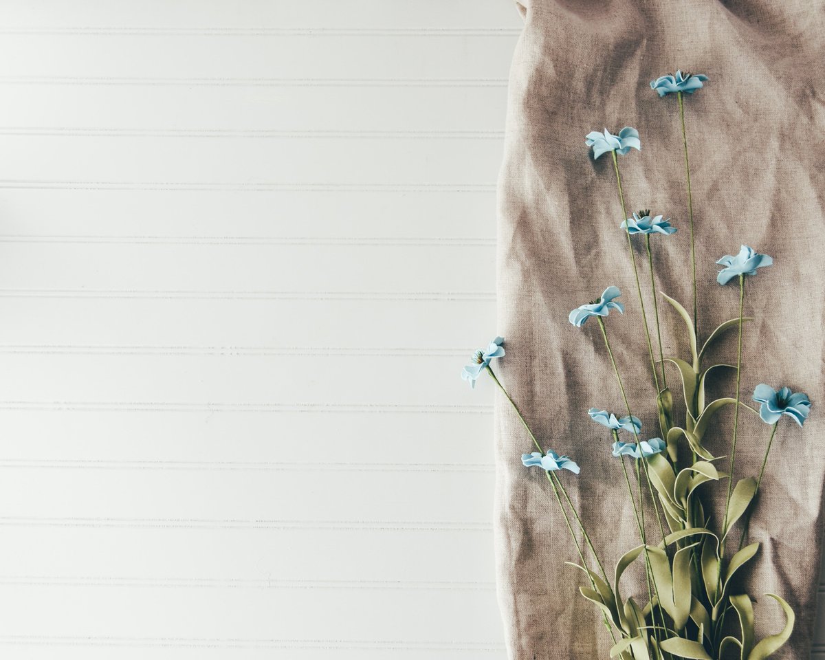 HealthyonHemp's tweet photo. Because hemp is more absorbent than cotton, it can retain dyes better. It's also more porous, keeping you cool as a cucumber during summer. On the flipside, like bamboo and wool, it stays warmer during the winter too. Need we say more? https://t.co/y7T05RfotM