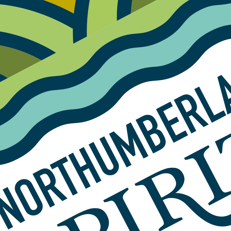 Chin Chin! Who likes gin?... Another great website design project officially underway... More info coming soon!

#websitedesign #webdesignnorthumberland

digitalmilkshake.co.uk