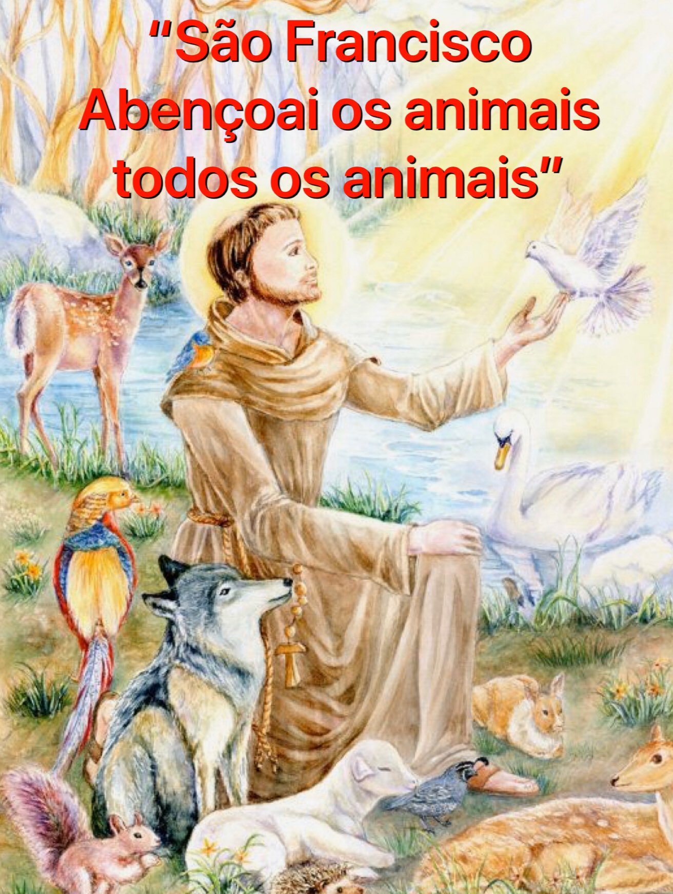Padre Marcelo Rossi on Twitter: Padre Marcelo Rossi on Twitter: