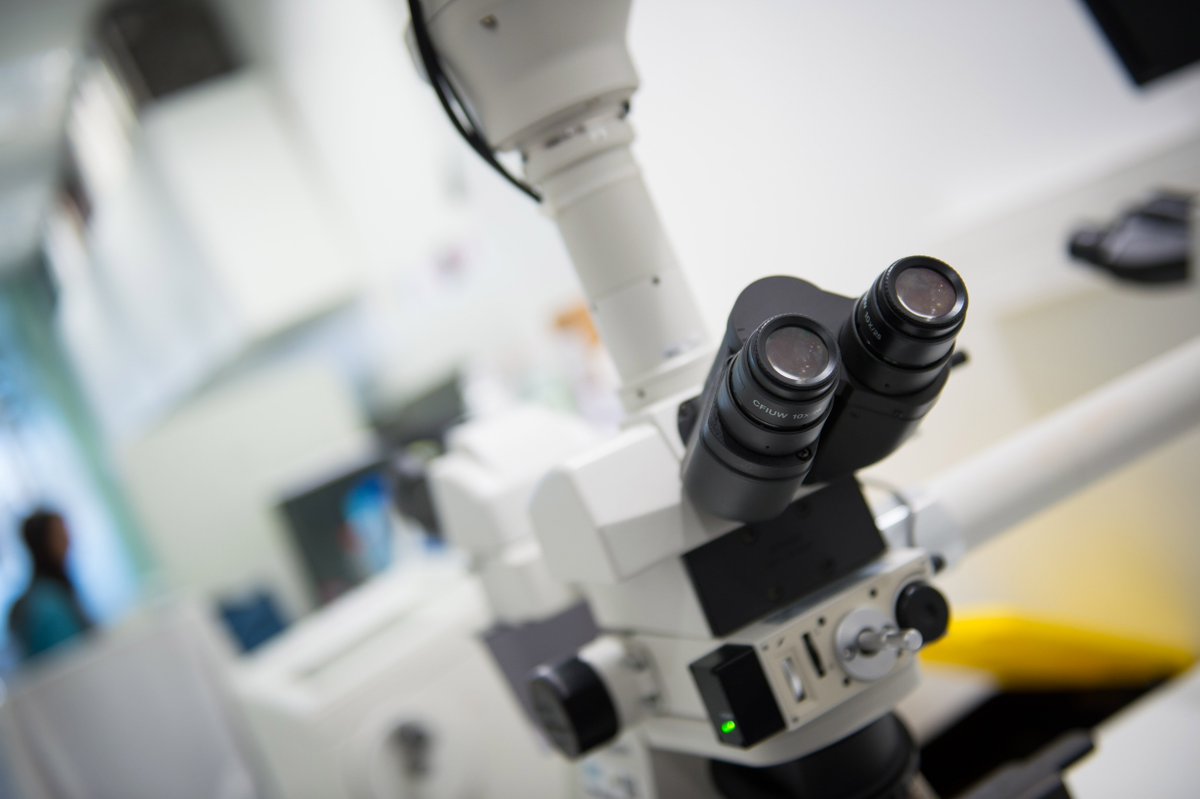 Buscamos ampliar horizontes para reforzar la presencia de <a href="/_SEOM/">SEOM</a> dentro y fuera de Europa.

Intensificaremos nuestro vínculo con ESMO y crearemos nuevas alianzas con Portugal y Latino-América.

#SEOM2Punto0. Trabajando por la <a href="/_SEOM/">SEOM</a> del futuro.