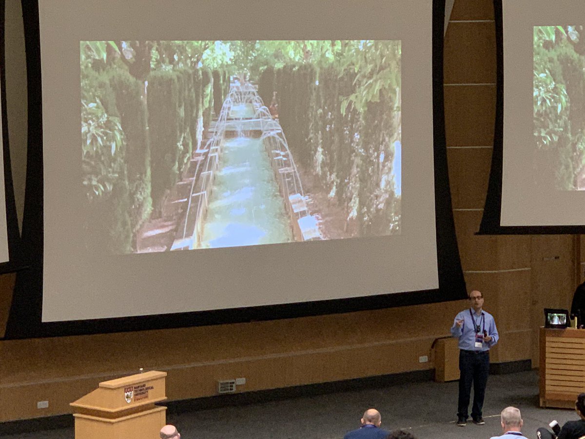 cgershen's tweet image. #CCS2019 to be followed-up by #CCS2020 in Palma de Mallorca, hosted by @IFISC_mallorca, October 19-23 2020.