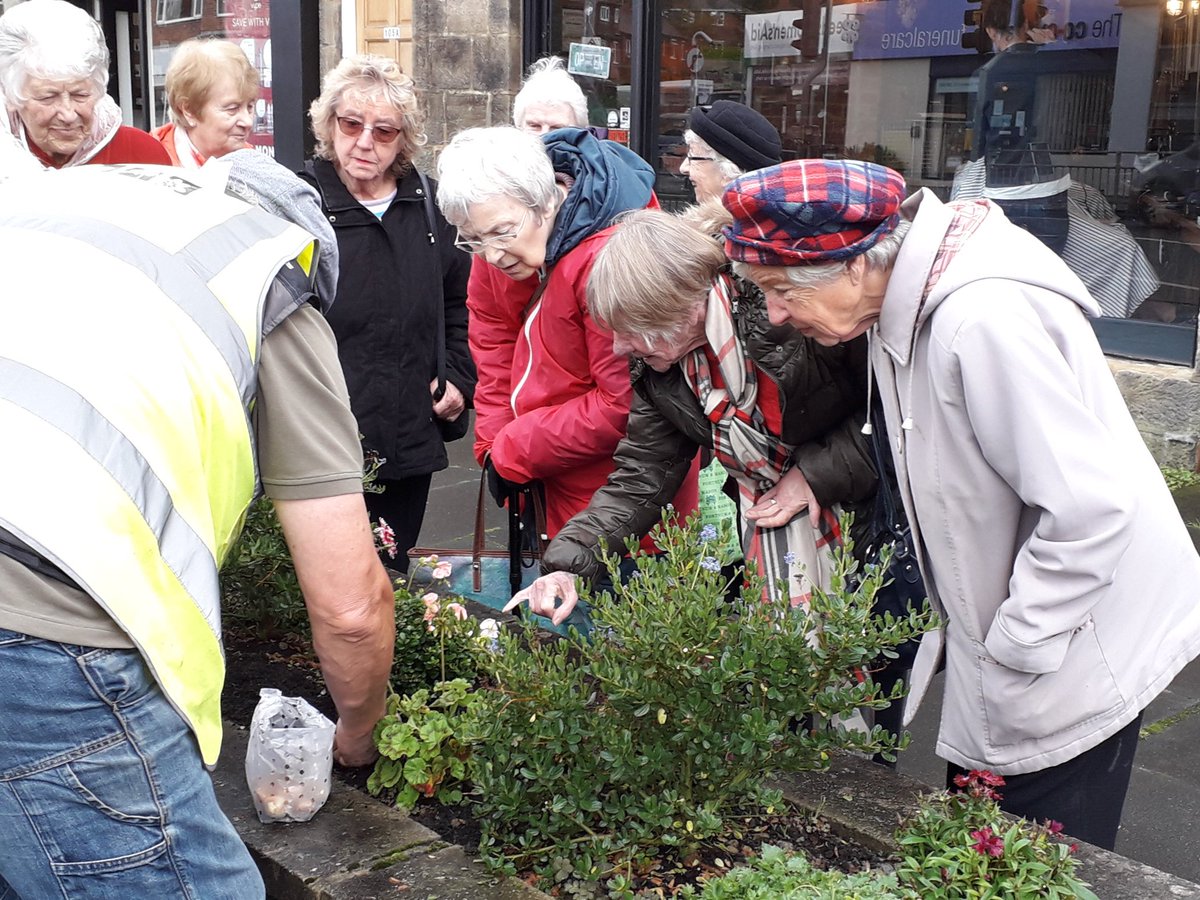 Our planter on New Road Side looks great. Bulbs planted for spring. Thank you to <a href="/Horsforth_Bloom/">Horsforth In Bloom</a> #IDOPLDS #NeverTooOldToBloom