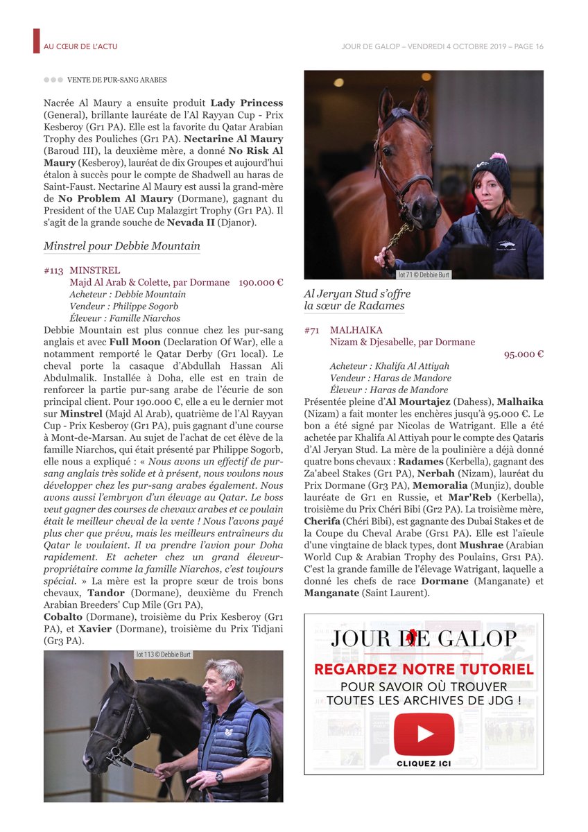 ⚠INFO📢 Yann Creff et Philippe Sogorb se distinguent avec les 2⃣ « top price » de la Vente de Pur-Sang Arabes 2⃣0⃣1⃣9⃣ @InfoArqana 👉 NAHAAB (2⃣4⃣0⃣k€) et MINSTREL (1⃣9⃣0⃣k€). C’est à lire dans  @Jour_de_Galop📰⬇  @afac_contact @TheFrenchPA @MontdeMarsan_