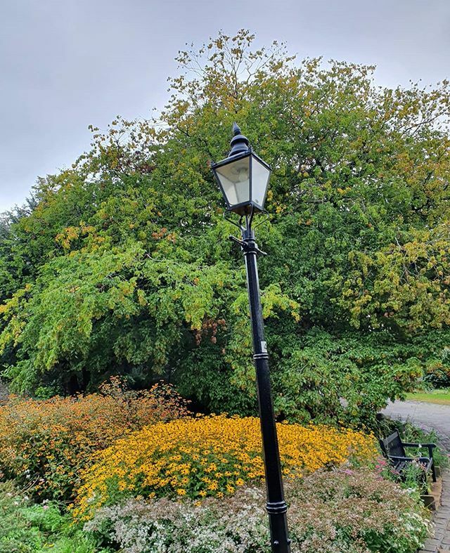 Flex Our Minds tweet media