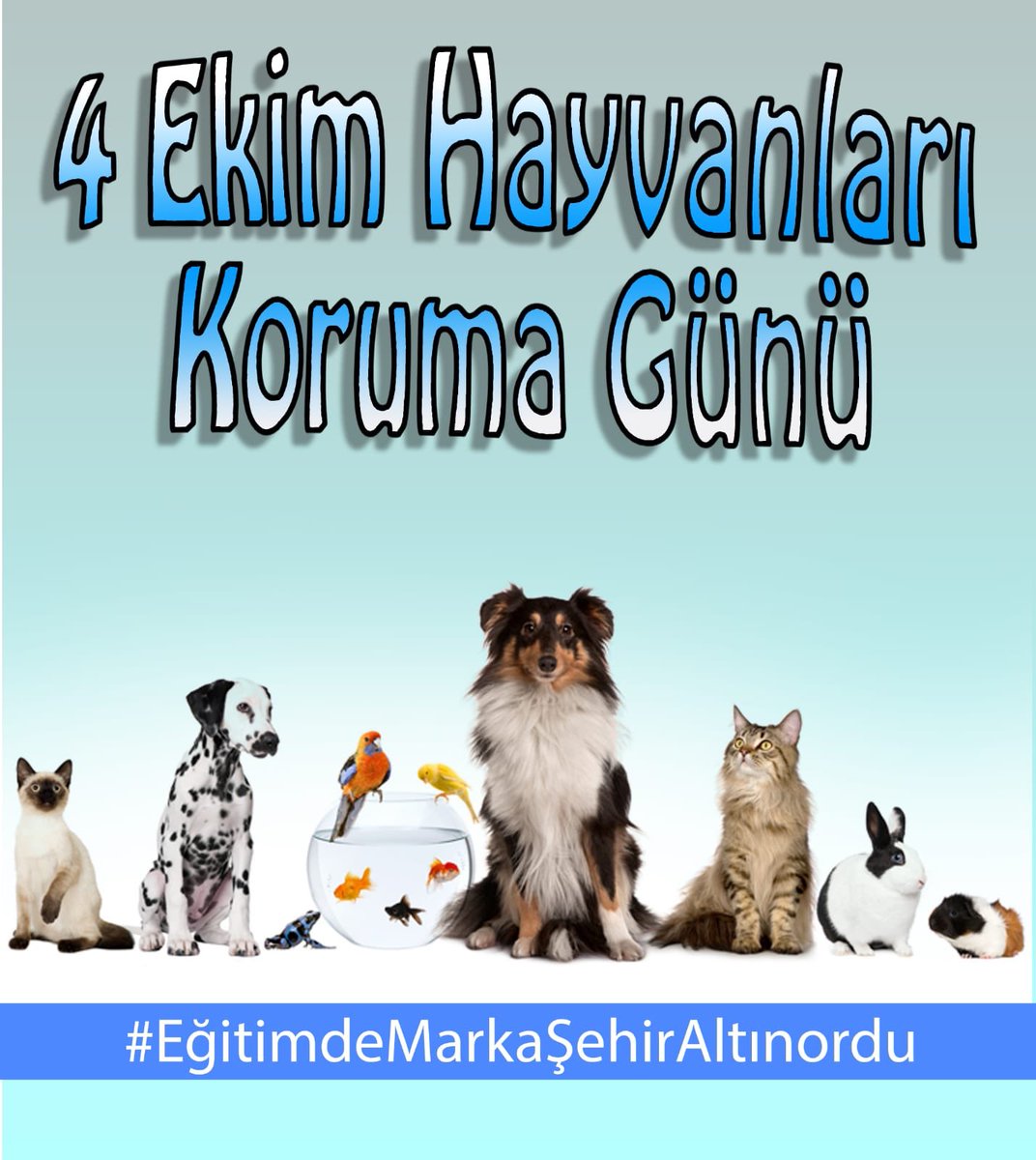 ALTINORDU MİLLİ EĞİTİM MÜDÜRLÜĞÜ (@altinordumem) on Twitter photo 