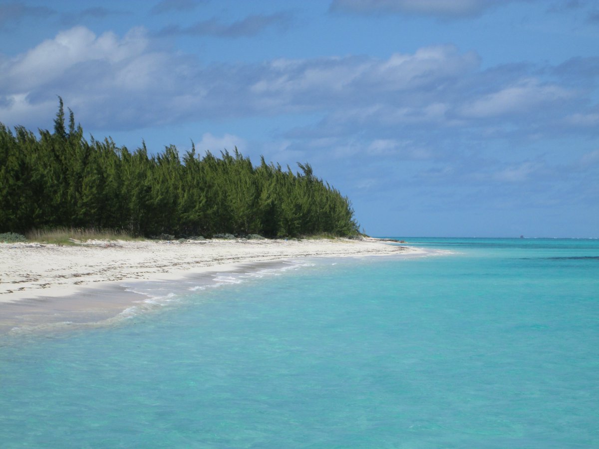 "Buy in TCI" - Graham Canham Coldwell Banker TCI tweet media