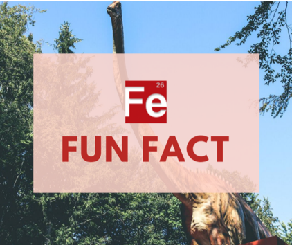 MinnesotaIron's tweet photo. Here’s an #FeFunFact: The Iron Range’s Mesabi Iron formation happened about 1.8 billion years ago—that’s long before dinosaurs even roamed the earth!
Today, our nation depends on this iron formation for 85% of iron mined in America. #imagineliFewithoutiron https://t.co/PaXiEMEI6w