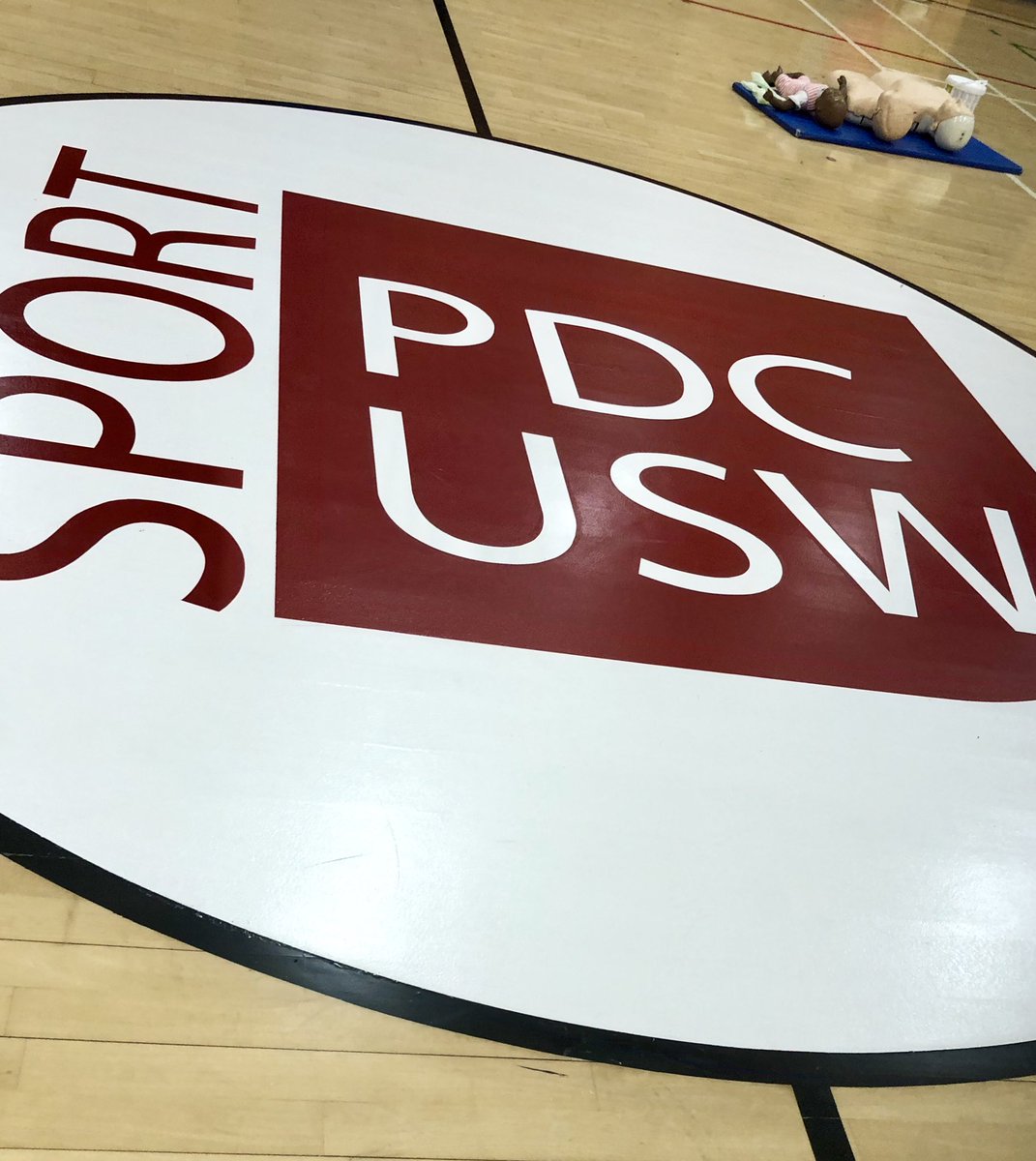 Jayb96528129's tweet photo. Welcome September 19, first meeting with some PEFs/ tutors.
The bi annual CPR class sports hall Treforest first experience of skills, how to save lives! @CwmtafNursEd @USWCareSciences @USW_ClinSimCent https://t.co/NOucTd0t6F