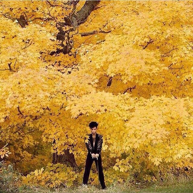 clevelandbazaar's tweet photo. The only fall photo that matters. See you tomorrow in beautiful @ohiocitytweets across from the @WestSideMarket from 10-4:00! https://t.co/z9XFwxhQxO