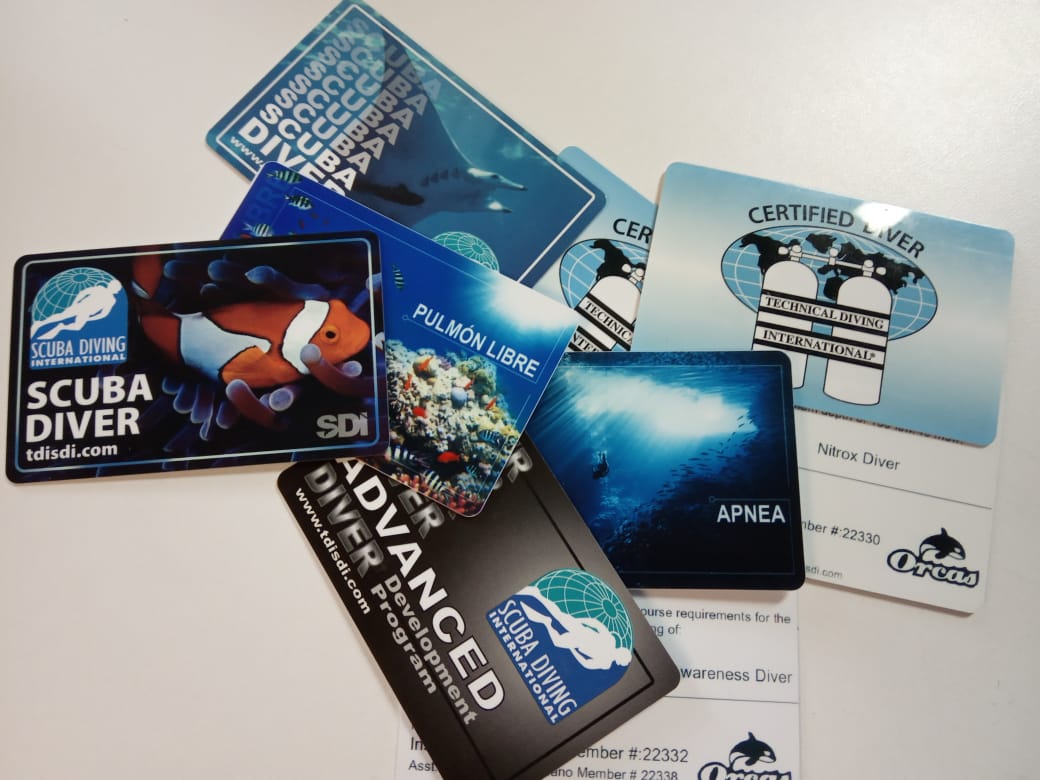 ClubOrcas's tweet photo. Hola, cual de estos tienes, cual te falta? En Orcas lo esperamos para que inicie su experiencia en el buceo y si ya lo hizo, lo esperamos para que continúe  ampliando sus experiencias y conocimientos. https://t.co/OIUWrCWK4P