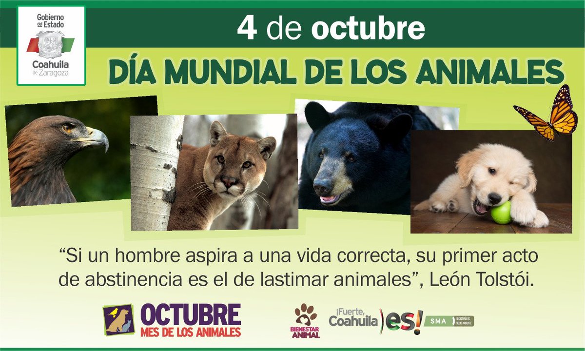 SMACoahuila's tweet photo. Nuestro bienestar es también el de los animales, celebremos su día #DiaMundialDeLosAnimales #FuerteCoahuilaEs #4Octubre https://t.co/fs01HWpTRw
