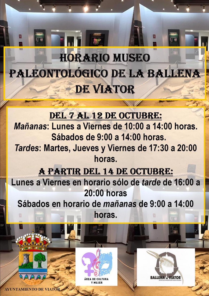 Nuevo horario del Museo Paleontológico de la Ballena de Viator💦🐳