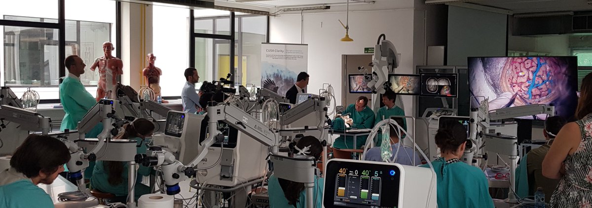 NeuroRaquisHUMV's tweet photo. Simulating an approach to the superior parietal lobe with cortical and subcortical mapping with Prof Duffau at #3DFiberSdr! Tomorrow the insula!
@NeuroRaquisHUMV @unican @HUnivValdecilla
#neurosurgery #neuroanatomy #neurooncology #Brainmapping
https://t.co/BxNH2kRAJW https://t.co/Bccz05EeB6