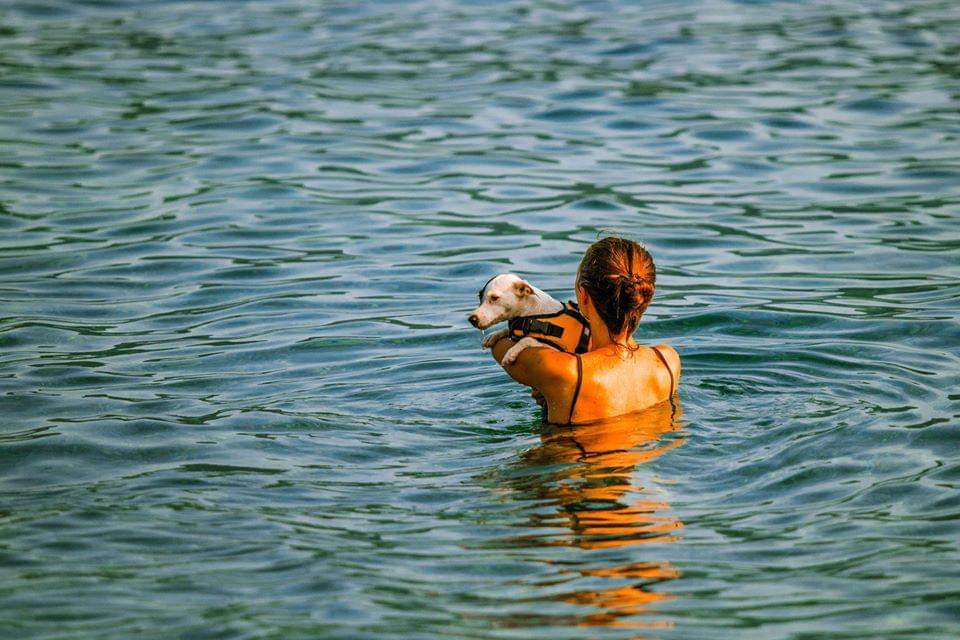 "Our task must be to free ourselves by widening our circle of compassion to embrace all living creatures and the whole of nature and its beauty" Albert Einstein. 
#WorldAnimalDay 🐕💞