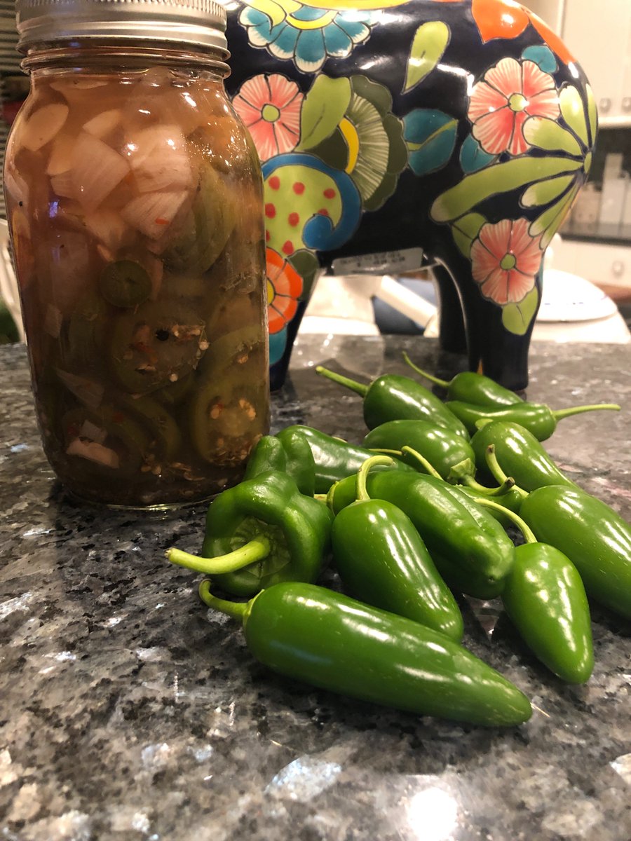 jerseyl87111076's tweet photo. last #jalapenos on the #year @balljar #homemade #FridayFeeling #FridayFun #Cooking #cheflife #GardenersWorld #FallFriday https://t.co/SPfRpqPXE6