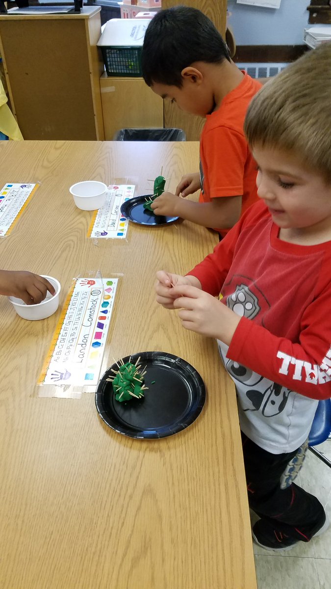 dardis_school25's tweet photo. @RCSDsch25 our class cactus projects to incorporate our sound cycle initial k and science unit on plants. #MightyMustangs25 https://t.co/tasxtpSw78