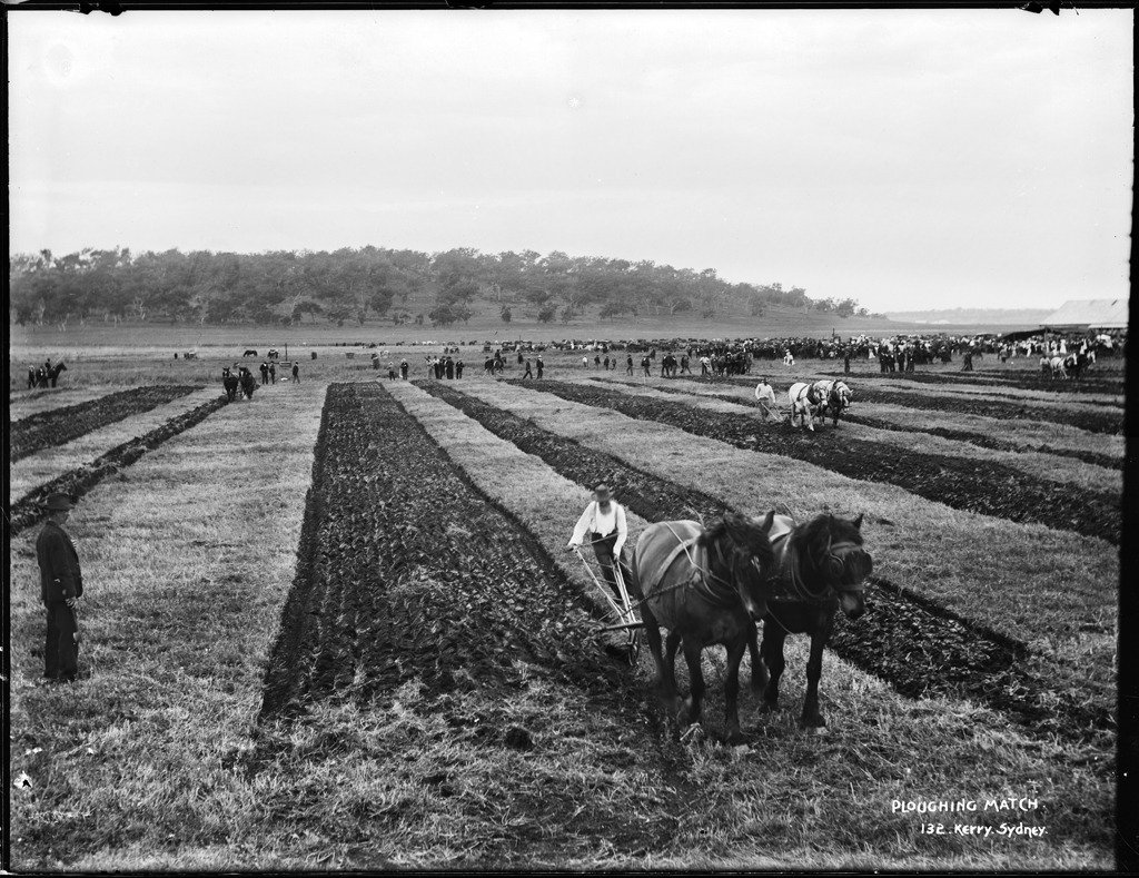 Ploughing match #newoldstock