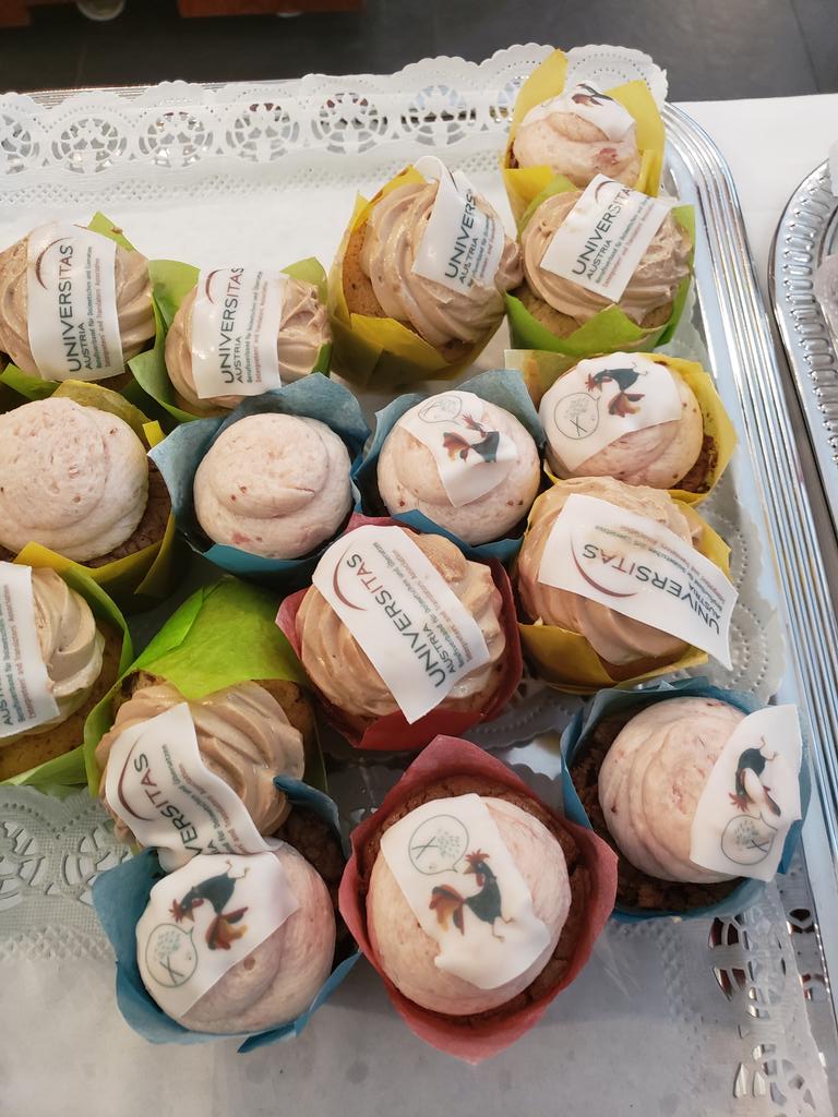 Hi lovely @_abrates! Thinking of you in Vienna and reporting that @UNIVERSITAS_AUT, especially @Deutsch_Profi, stole your cupcake idea from your amazing conference in São Paulo. Yum. #xl8 #1nt #universitas65