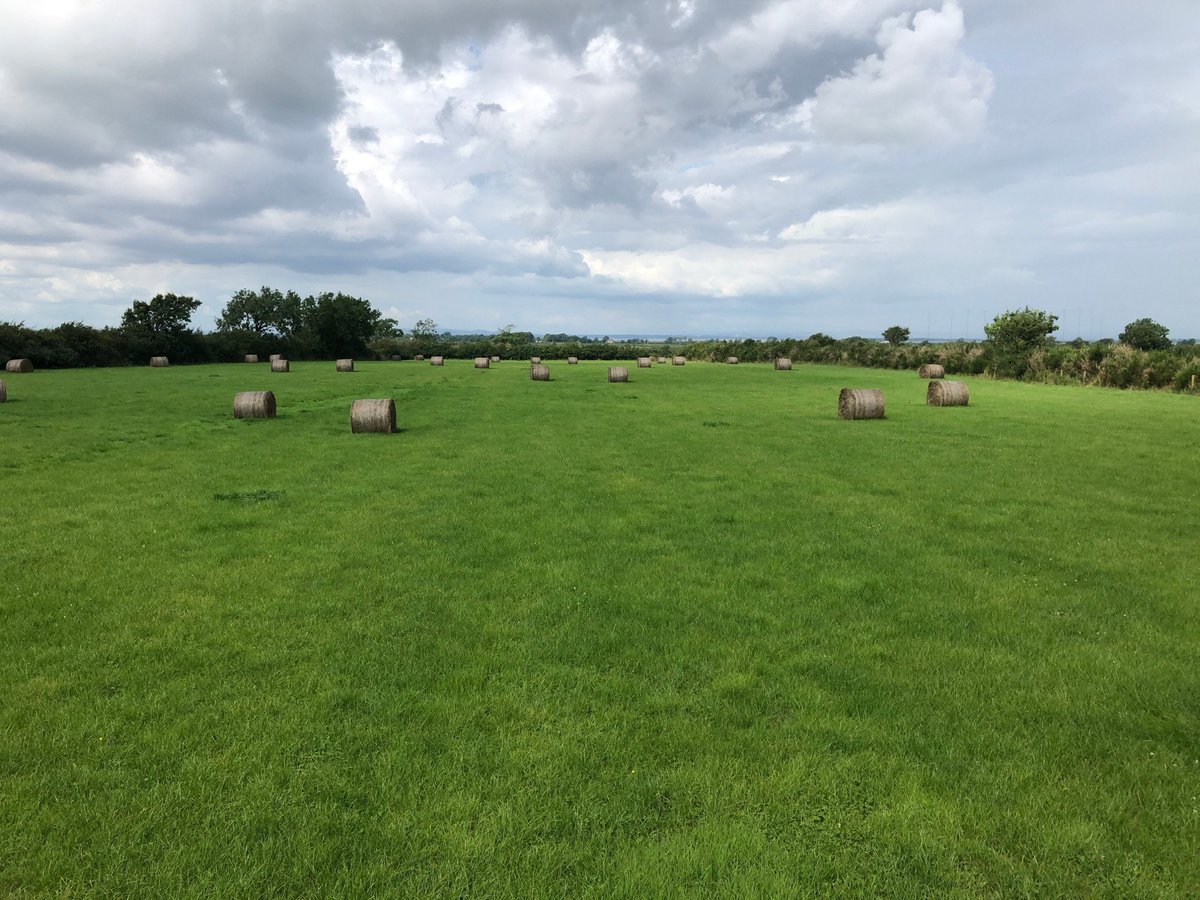 HopesAuction tweet media