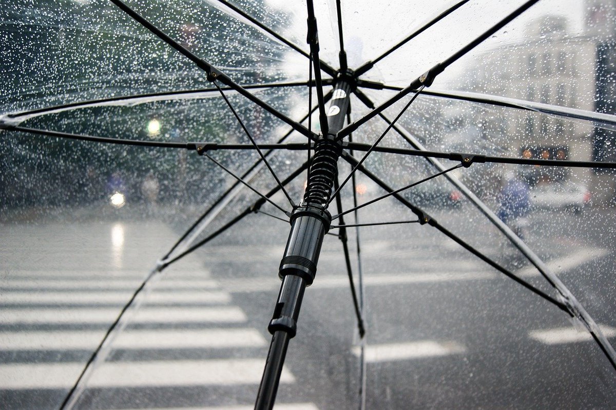 Ondanks de regen namens MKB.website toch nog een heel goed weekend toegewenst !

#rotterdam #lansingerland #berkelenrodenrijs #bergschenhoek #bleiswijk #pijnacker #nootdorp