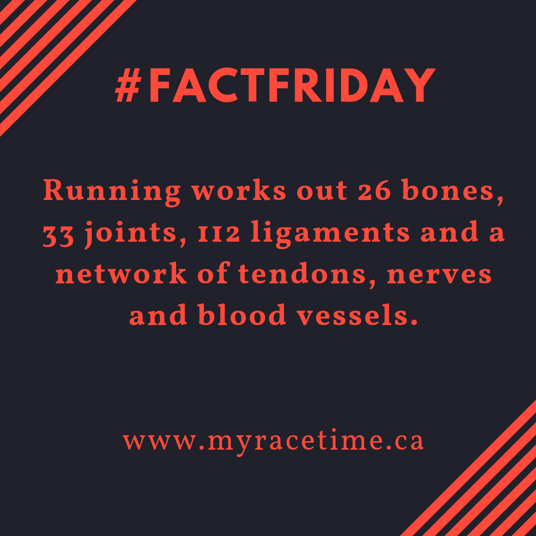 MyRaceTime1's tweet photo. #factfriday #myracetime #race #timing #software #mobile #app #register #event #post #raceresults #realtime #nowaiting https://t.co/oqzNG70xy8