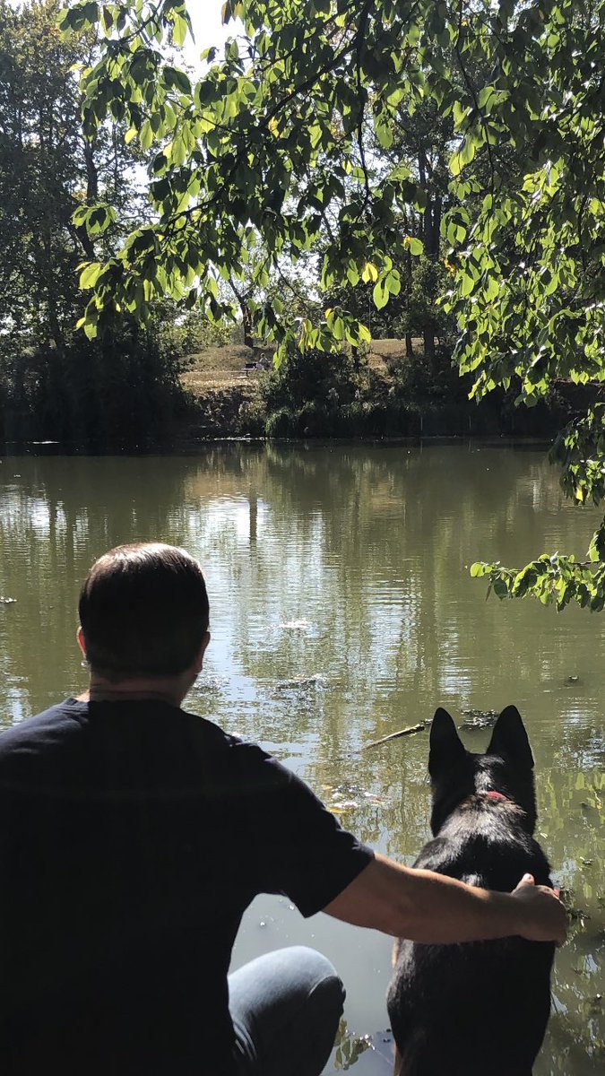 Happy #WorldAnimalDay! 
A special shout out to @SPANACharity for working tirelessly to improve the welfare of working animals all over the world. Thank you 🙏