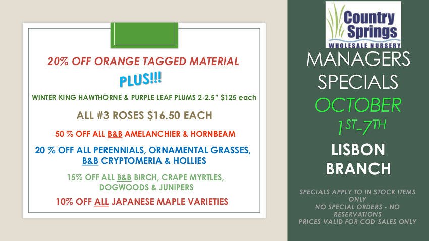 CSpringsLisbon's tweet photo. Have you seen this week's Managers Specials? https://t.co/Fn5VlyKaNO https://t.co/ZSFkNto40x