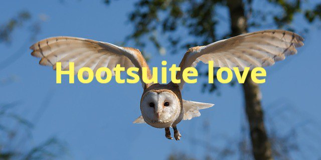 innline tweet picture