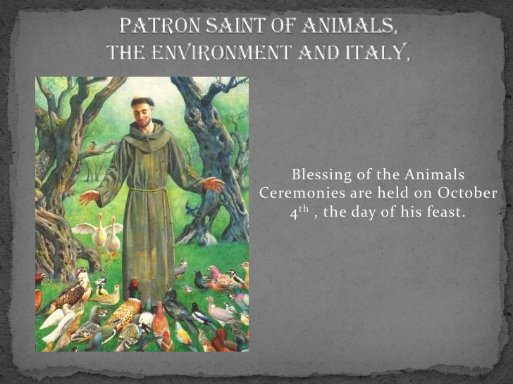 Holy Family DPCDSB on Twitter "St. Francis of Assisi is the patron