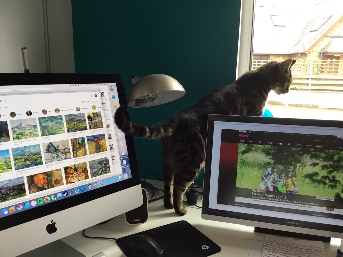 knit_the_usual's tweet photo. I have some help with my planning for #FunPalaces #FunPalacesBodmin she has now stolen my chair https://t.co/tF7i8gWuxK