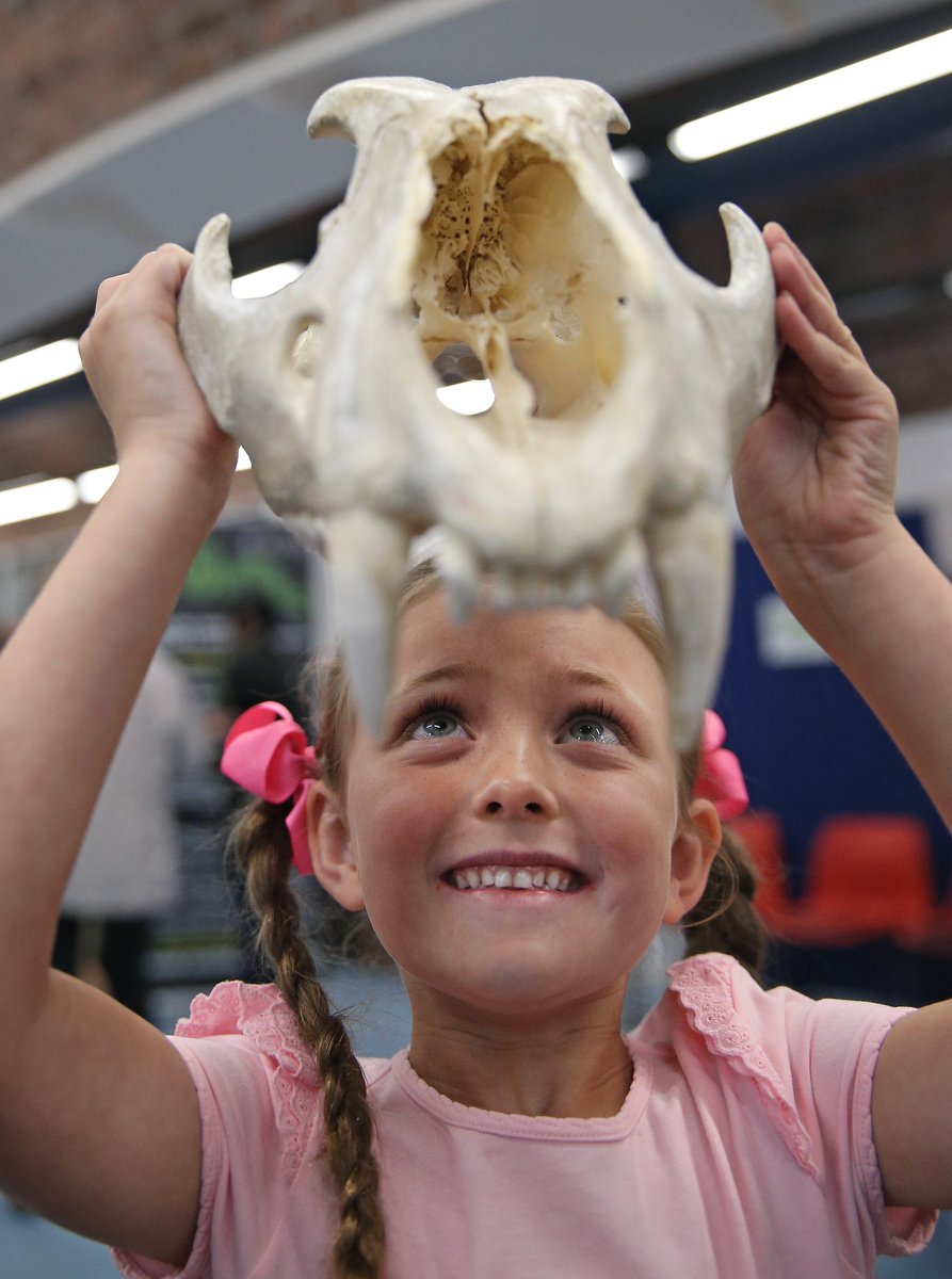 MaritimeMuseum_'s tweet photo. Discover the important work that Border Force officers do to protect endangered species in our #SeizedGallery
https://t.co/cLpBxBlWC8
#WorldAnimalDay @worldanimalday https://t.co/UVIVQUr1F7