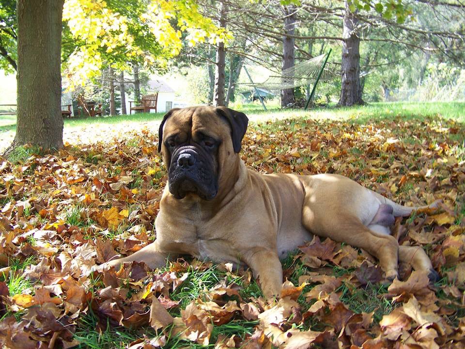 WhyteLindy's tweet photo. #Autumn https://t.co/VTinWqAX6d
