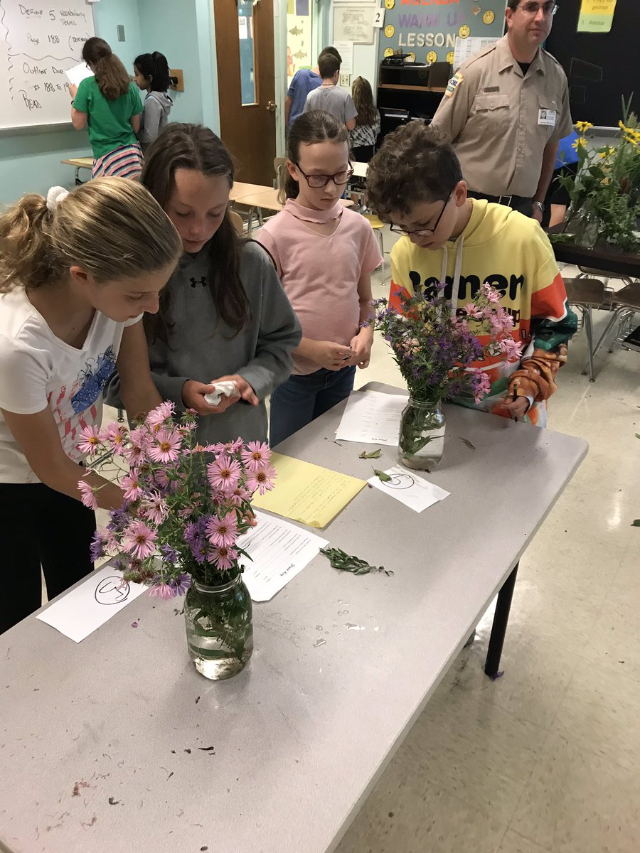 ReffertJeff's tweet photo. DCNR expert Mr. Shane Miller challenges students with a Dichotomous Key activtity. #moderizingscienceactivuty @BWSDHarrisonMS @PADeptofEd @DCNRnews https://t.co/EH7pqiU4x7