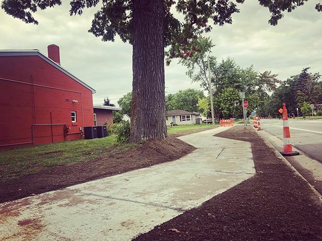 elgruponorte's tweet photo. New sidewalk day in Traverse City! Thanks, @cityoftc. And thank you for saving this beautiful oak tree on Hannah Street, @teamelmers. #walk #traversecity #walktvc https://t.co/naLX0nMFEu https://t.co/MmLiew7Ehs