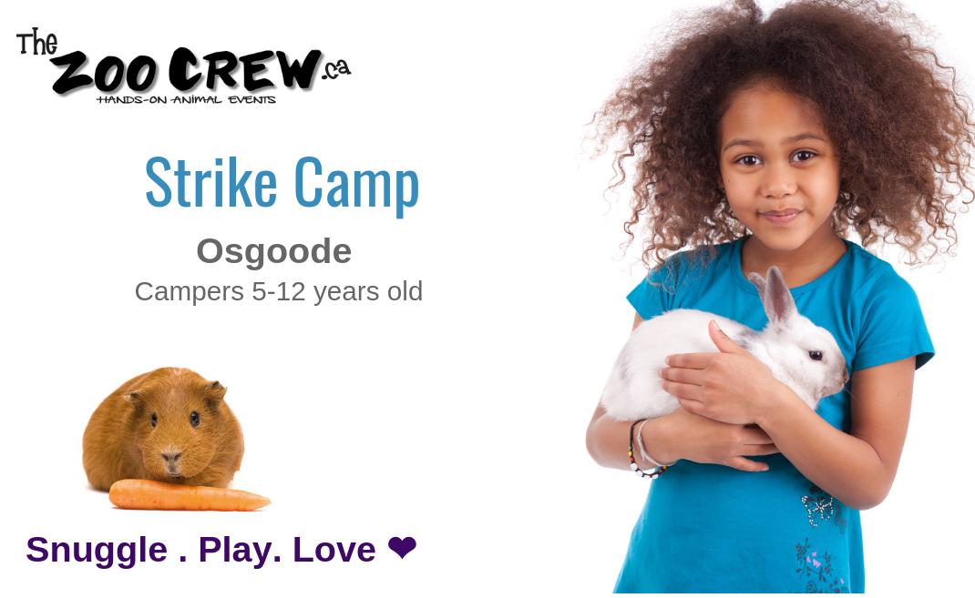 The Zoo Crew tweet media