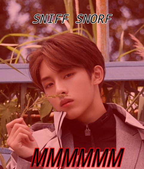 magymaydraw's tweet photo. I ran into pics of Winwin today. I expressed my thoughts. Thank you for coming to my TED Talk. https://t.co/naQyvE3YOD