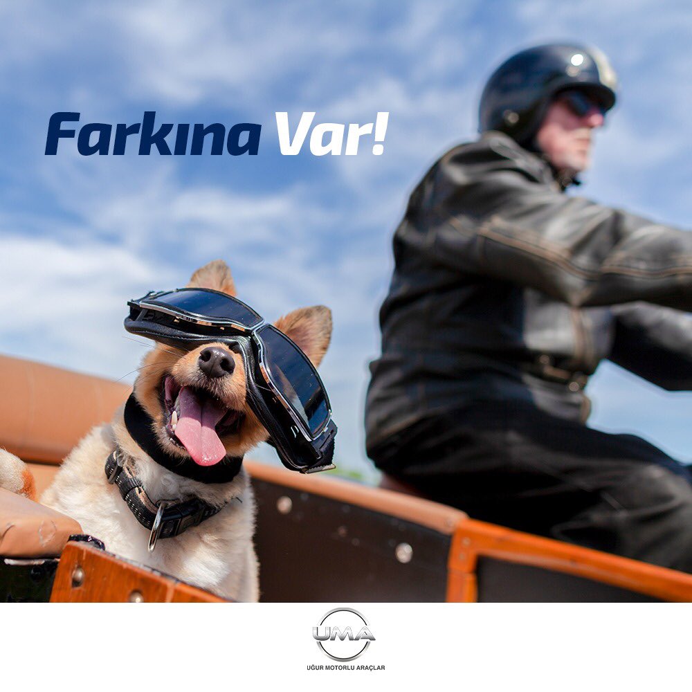 Onlar en sevimli dostlarımız, bazen mutluluk sebebimiz. Yaşamın her alanında özellikle de trafikte onların farkına varın!

#HayvanlarıKorumaGünü #FarkınaVar #UMA