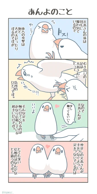 あんよのはなし。

#Buncho #javasparrow #文鳥 