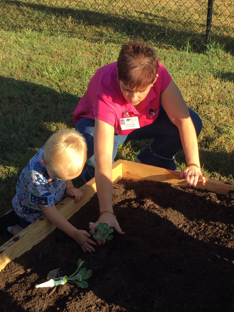 Jens_Journey_'s tweet photo. So fun to watch the littles plant veggies at the Marion Tiny Institute Program. @MCPS_Elementary @MCPSWellnessPE https://t.co/tJ78B8W3QS