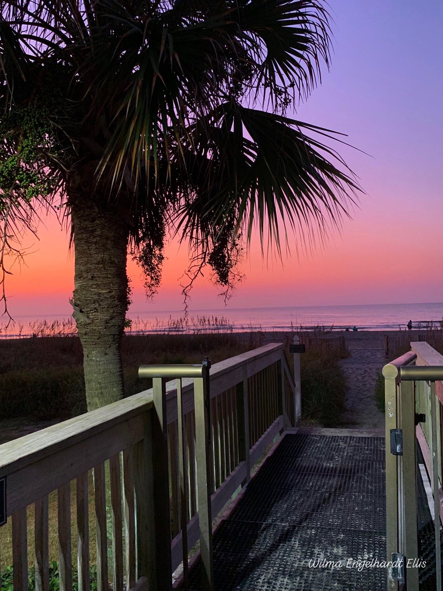 Ed Piotrowski tweet media