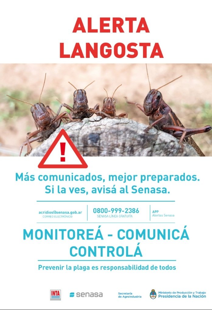 Atención con las posturas de langosta en las regiones por donde circulan. Si ves agujeros en terreno limpio, consultá con el <a href="/SenasaAR/">Senasa Argentina</a>

La lucha contra la langosta la hacemos entre todos!!