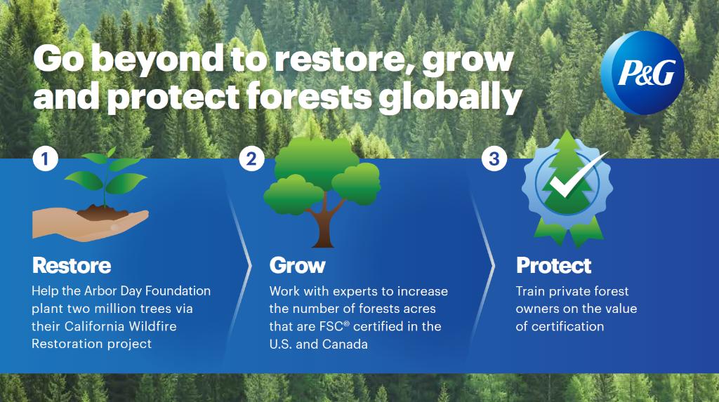 ProcterGamble's tweet photo. P&amp;G Family Care is strengthening our commitments to help achieve our Ambition 2030 goal of protecting and enhancing forests, including by nearly doubling our use of FSC© certified fibers to 75% by 2025. Read about it from our partners at @FSC_US at https://t.co/pX8OxalEee https://t.co/C3dlPH4cqU