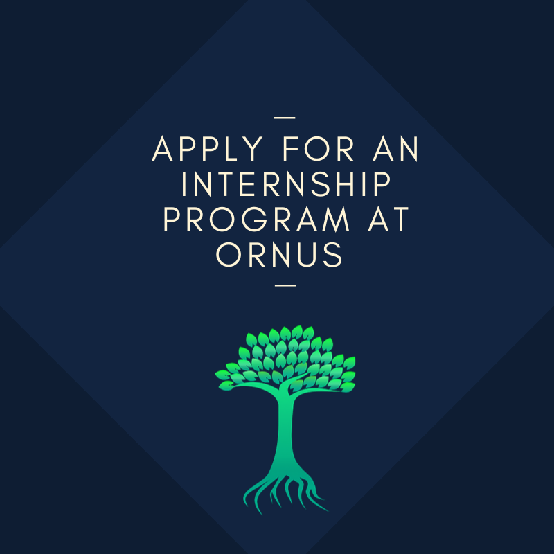 OfficialOrnus's tweet photo. Apply for an internship at Ornus! We are looking for individuals interested in UI/UX and marketing. Click this link to apply https://t.co/XCy6FKXGYm https://t.co/MPElUrGykk
