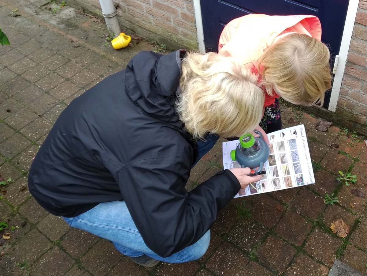 FleurGabru's tweet image. Celebrating #Bodemdierendagen 🐜 🐌 Our garden is a little zoo and had a little surprise for us 🐝🕷.