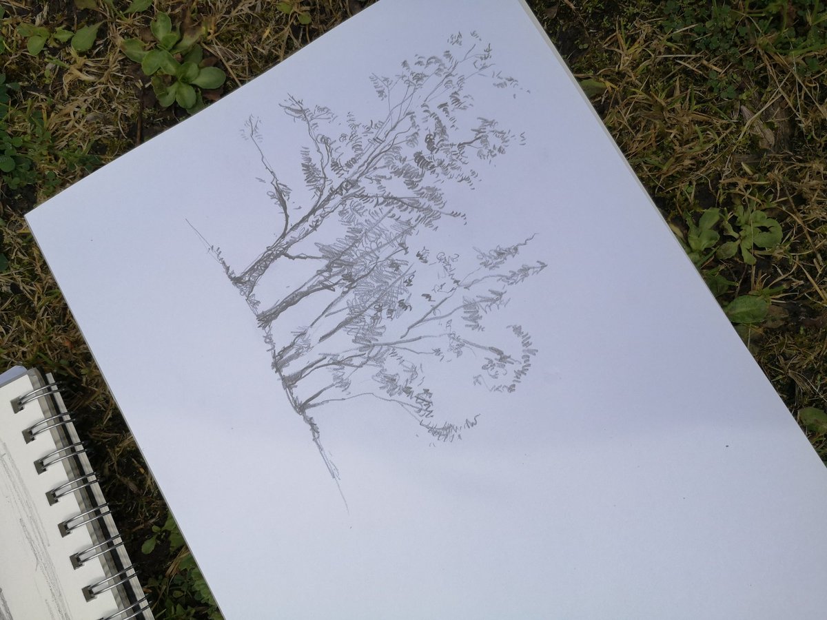 gracekelleher95's tweet photo. Week 1 tutorials on site at the Ponderosa with our new the MA1 students @LandscapeSheff @sheffielduni #chooselandscape stepping out of our drawing comfort zones https://t.co/JxBgeyWsMo