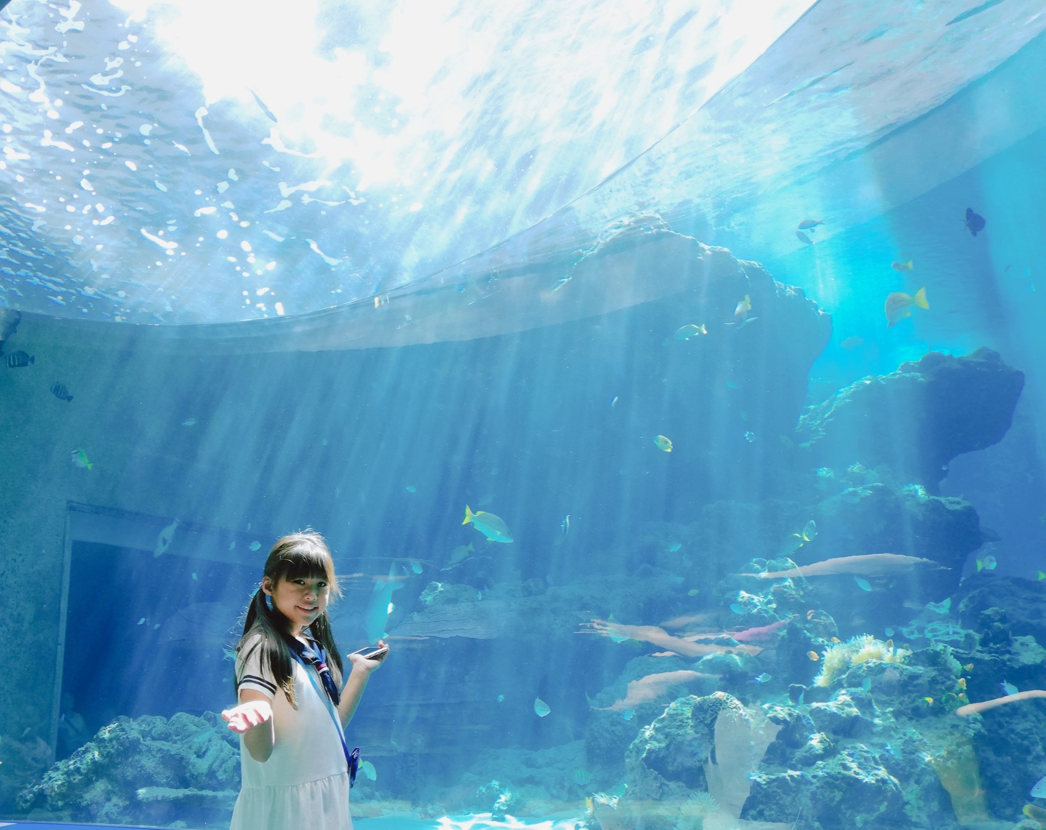れいらら 太陽の光が降りそそぐ珊瑚の海 水族館 美ら海 美ら海水族館 海の中の世界 神秘な世界 美しい海 青い海 大好きな海 オーシャンブルー マリンブルー お魚さんになりたい マーメイドになりたい 人魚姫になりたい ๑ᴖᴖ๑