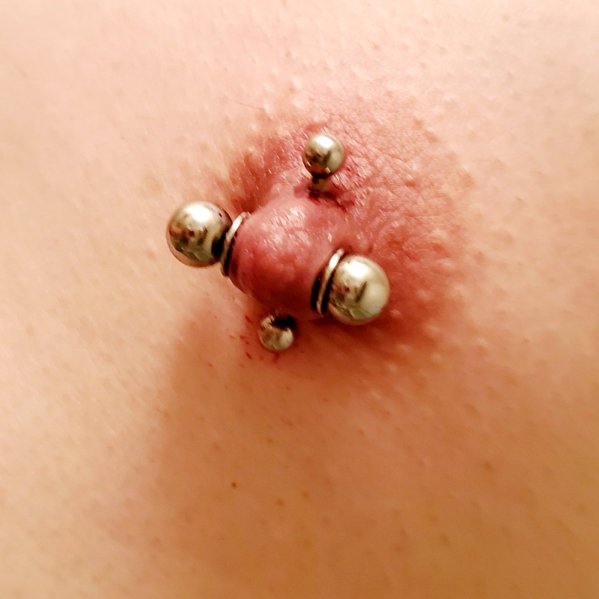 Pman 久々に乳首ピアスしてみた なかなか痛かったかも しかも位置悪くて3度刺しましたwww 何かムショーにピアスしたくなるときありませんか ニップルピアス 乳首ピアス ピアス好きな人と繋がりたい 性器ピアス ボディピアス カヌラニードル
