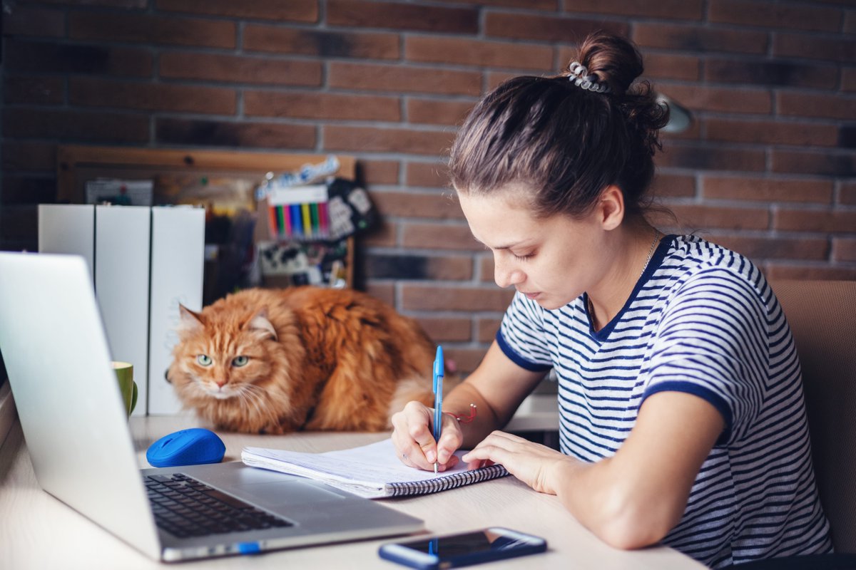 Ce vendredi 4 octobre marque la journée mondiale des animaux! Chez Student Factory ton compagnon à 4 pattes est le bienvenu. N’hésite pas à le présenter au reste des locataires ;) 
🐶🐱🐇
