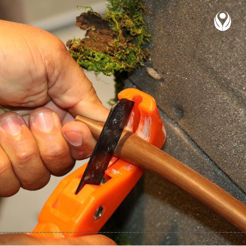 #Automated #irrigationsystems allow us to take advantage of the #water and not waste it, as regards the irrigation of #verticalgardens, a topic in which we are #specialists.
Call us for a free consultation 📲  +1 305.803.6480