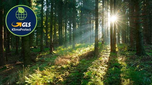 🌿 100% klimaneutraler Paketversand ab dem 1. Oktober 2019